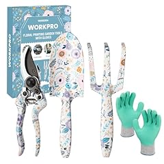 Workpro ensemble outils d'occasion  Livré partout en France