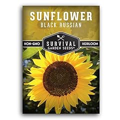 Pack black russian for sale  Delivered anywhere in USA 