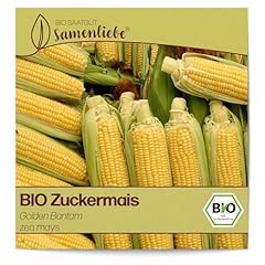Samenliebe bio zuckermais gebraucht kaufen  Wird an jeden Ort in Deutschland