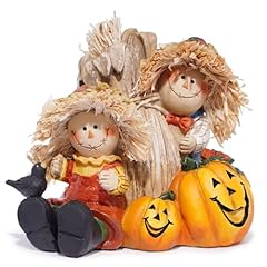 Hodao fall harvest for sale  Delivered anywhere in USA 