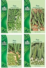 Pea seeds collection for sale  Delivered anywhere in UK