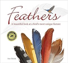Feathers beautiful look usato  Spedito ovunque in Italia 