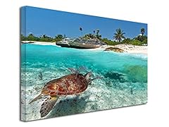 Tableau tortue marine d'occasion  Livré partout en France