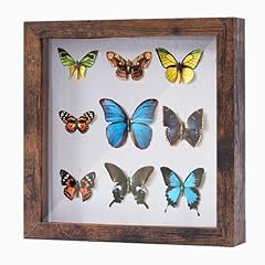 Muzilife 8x8 shadow for sale  Delivered anywhere in USA 