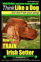 Irish setter irish for sale  Delivered anywhere in UK