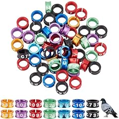 Delorigin 50pcs bird for sale  Delivered anywhere in USA 