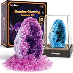 Gobidex geodes growing for sale  Delivered anywhere in USA 