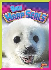 Baby harp seals for sale  Delivered anywhere in USA 