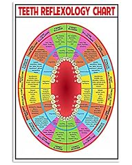 Oudrspo teeth reflexology for sale  Delivered anywhere in UK