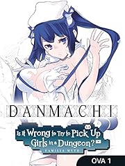 Danmachi wrong try gebraucht kaufen  Wird an jeden Ort in Deutschland