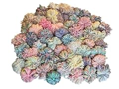 100 yrds colors for sale  Delivered anywhere in USA 