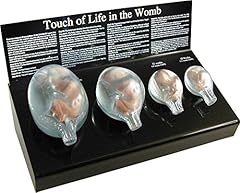 Fetal model touch for sale  Delivered anywhere in USA 