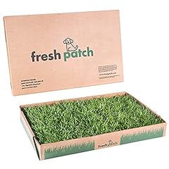 Fresh patch standard for sale  Delivered anywhere in USA 