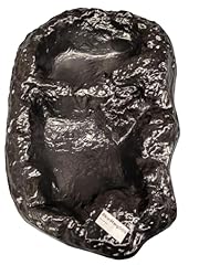 Pondh2o small pond for sale  Delivered anywhere in USA 