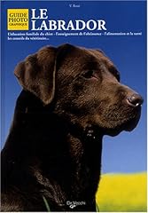 Labrador d'occasion  Livré partout en Belgiqu