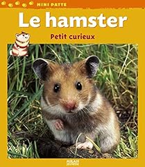 Hamster petit curieux d'occasion  Livré partout en Belgiqu