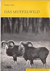 Muffelwild vis ammon gebraucht kaufen  Wird an jeden Ort in Deutschland