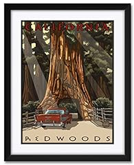 California redwoods car for sale  Delivered anywhere in USA 