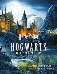 Harry potter. hogwarts. usato  Spedito ovunque in Italia 