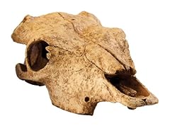 Exo terra buffalo for sale  Delivered anywhere in USA 
