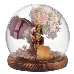 Pandahall glass cloche for sale  Delivered anywhere in USA 