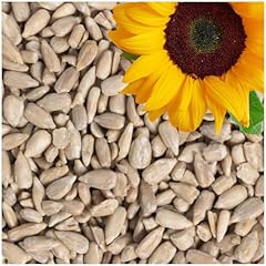 Lyra pet sonnenblumenkerne gebraucht kaufen  Wird an jeden Ort in Deutschland