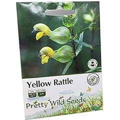 1200 yellow rattle for sale  Delivered anywhere in Ireland