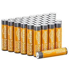 Amazon basics batterie usato  Spedito ovunque in Italia 