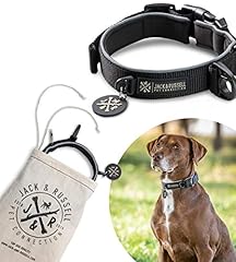 Jack russell collier d'occasion  Livré partout en France