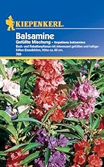 Balsamine gefüllte mischung gebraucht kaufen  Wird an jeden Ort in Deutschland