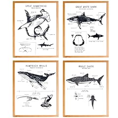 Bearcake shark wall for sale  Delivered anywhere in USA 