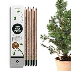 Sprout pencils plant for sale  Delivered anywhere in UK