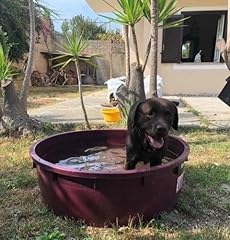 Mille idee piscina usato  Spedito ovunque in Italia 