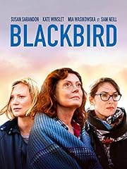 Blackbird d'occasion  Livré partout en France