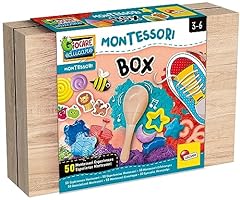 Lisciani giochi montessori usato  Spedito ovunque in Italia 