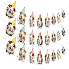 3pcs guinea pig for sale  Delivered anywhere in USA 