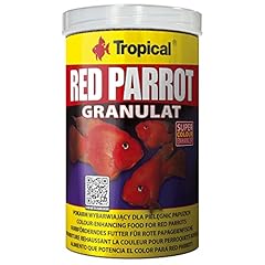 Tropical red parrot for sale  Delivered anywhere in UK