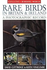 Rare birds britain for sale  Delivered anywhere in UK