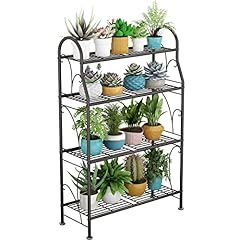 Sorcedas indoor plant for sale  Delivered anywhere in USA 