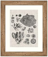 Amanti art framed for sale  Delivered anywhere in USA 