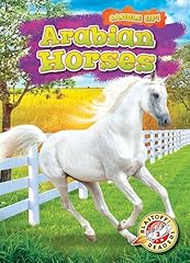Arabian horses for sale  Delivered anywhere in USA 
