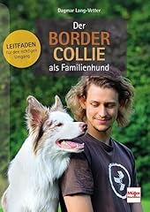 Border collie als gebraucht kaufen  Wird an jeden Ort in Deutschland