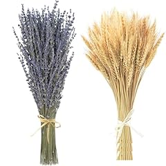 Trockenblumen deko set gebraucht kaufen  Wird an jeden Ort in Deutschland