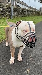 Biothane dog muzzle for sale  Delivered anywhere in UK