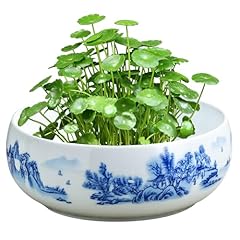 Ceramic succulent pots for sale  Delivered anywhere in UK