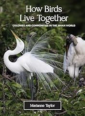 Birds live together for sale  Delivered anywhere in UK