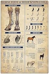 Horse knowledge metal for sale  Delivered anywhere in USA 