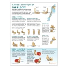 Anatomy stuff injuries for sale  Delivered anywhere in UK