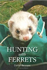 Hunting ferrets for sale  Delivered anywhere in Ireland
