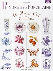 Peindre porcelaine arc d'occasion  Livré partout en France